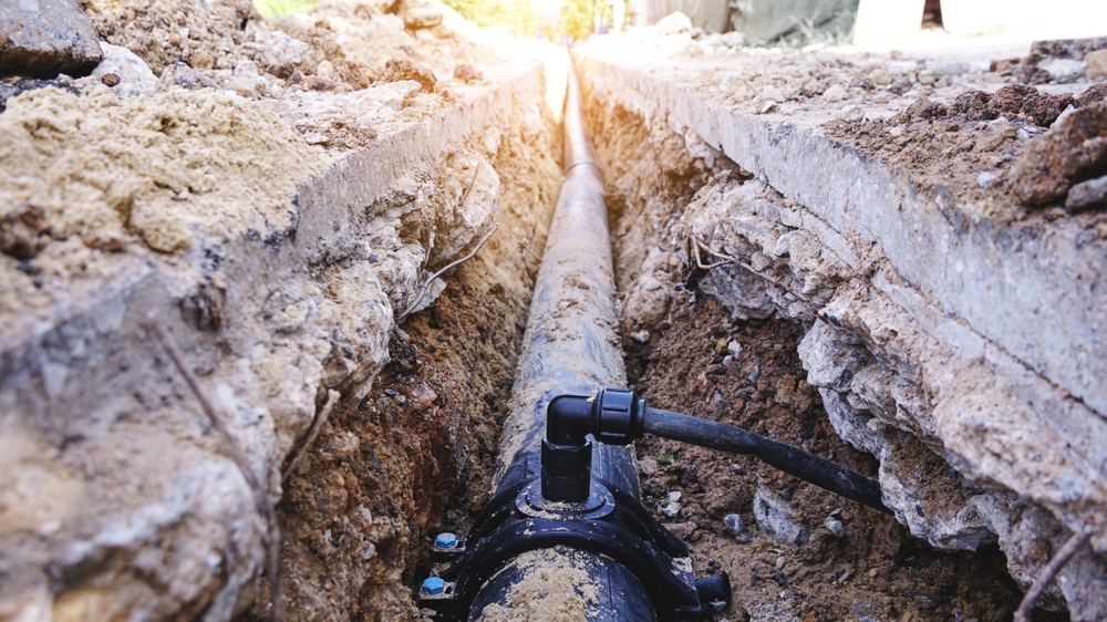 sewer backup Photo of sewer backup