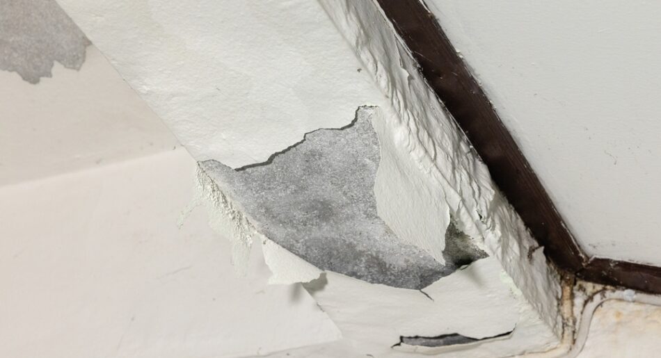 Photo of slab leak