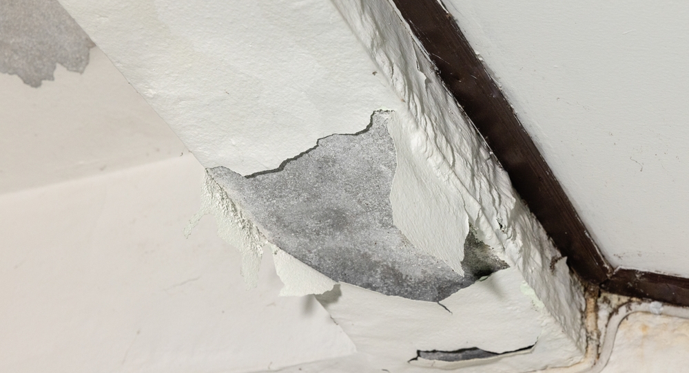 Photo of slab leak
